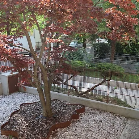 1 Piano In Martini Appartement